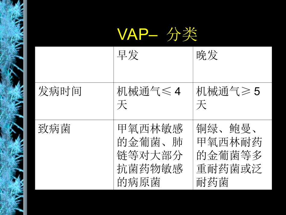 VAP2013_第3页