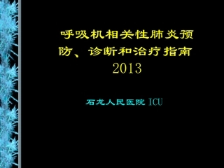 VAP2013