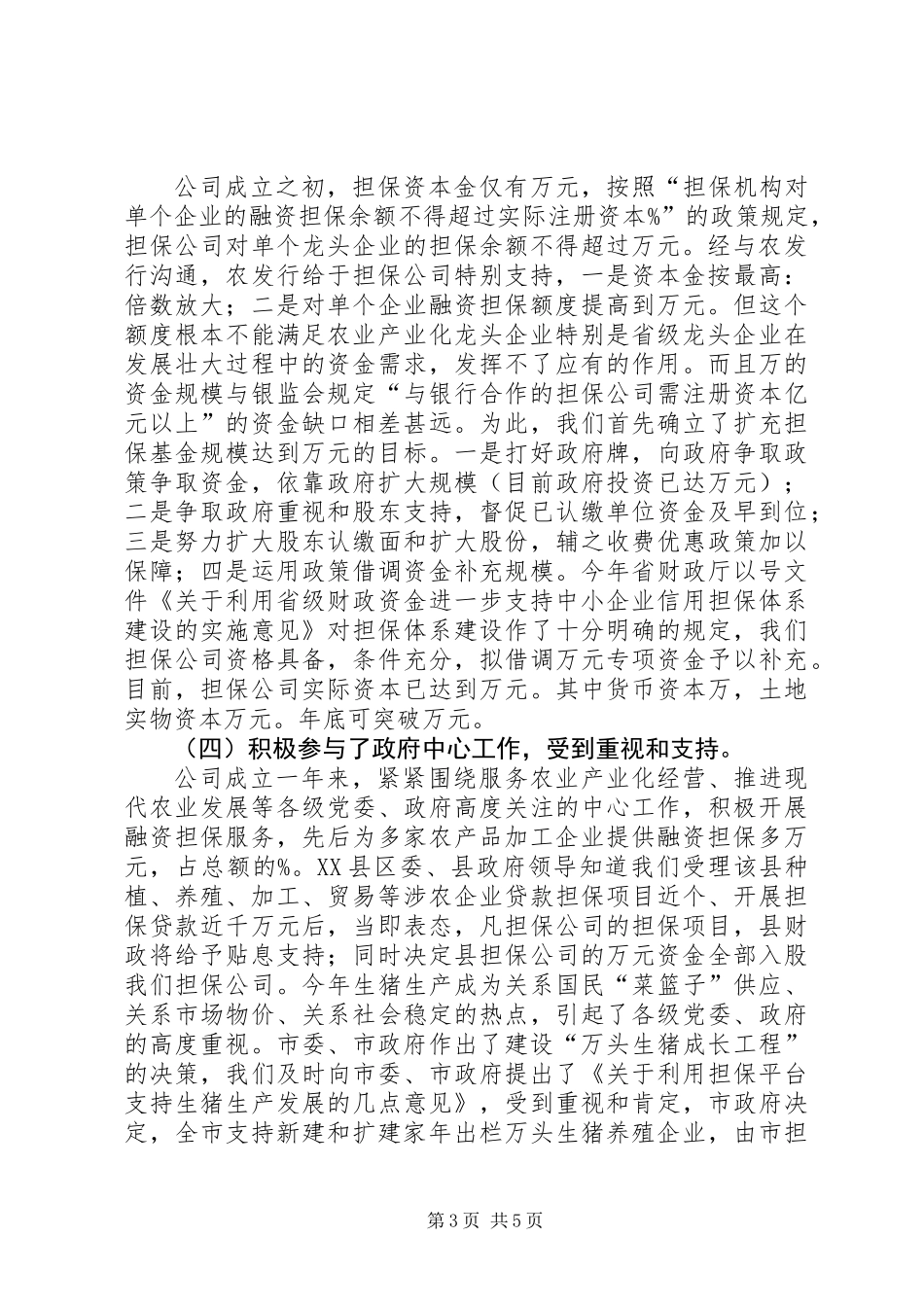 农业信用担保公司年终工作总结_第3页