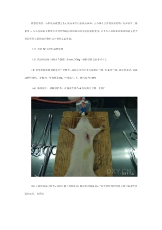 大鼠急性心肌缺血模型制备详细图解