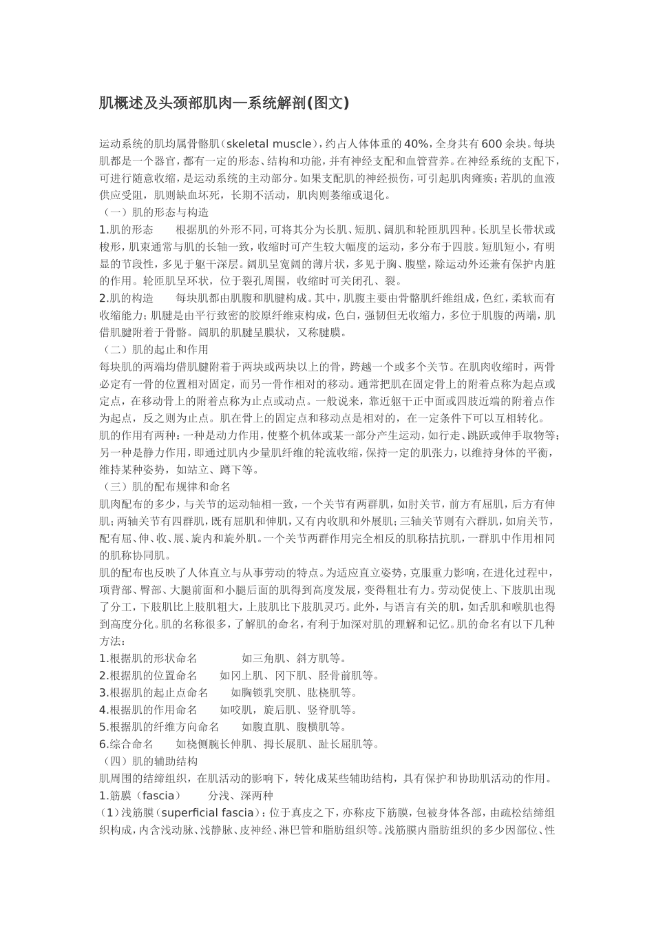 大体解剖-肌概述及头颈部肌肉_第1页
