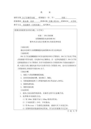 垂直电泳系统工作原理