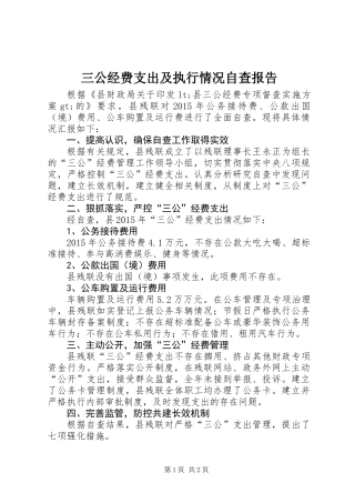 三公经费支出及执行情况自查报告