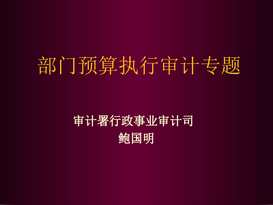 部门预算执行审计专题_第1页