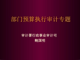 部门预算执行审计专题