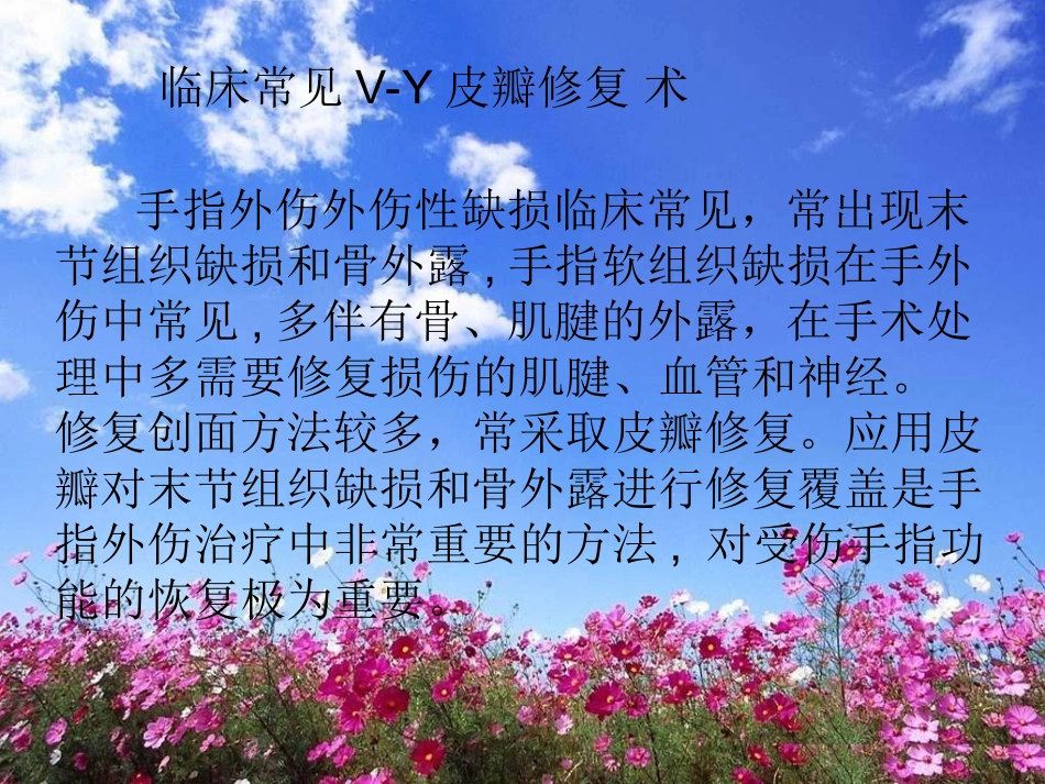 keV-Y皮瓣修复术_第2页
