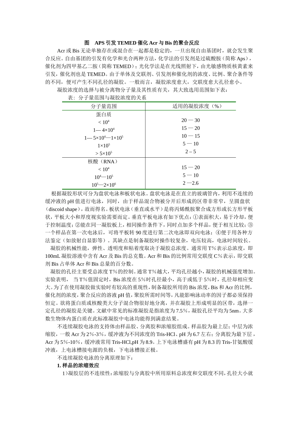 SDS-PAGE检测蛋白质纯度_第3页