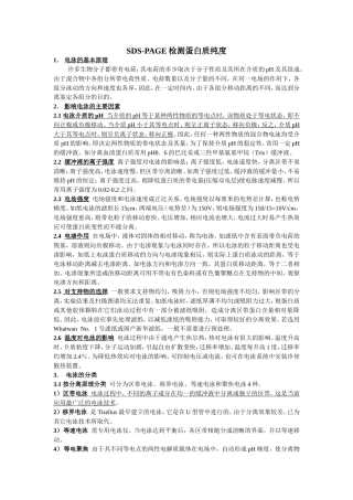 SDS-PAGE检测蛋白质纯度
