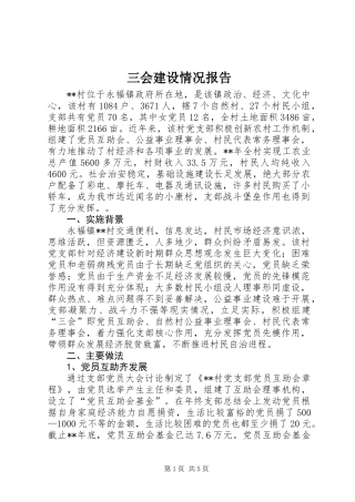 三会建设情况报告