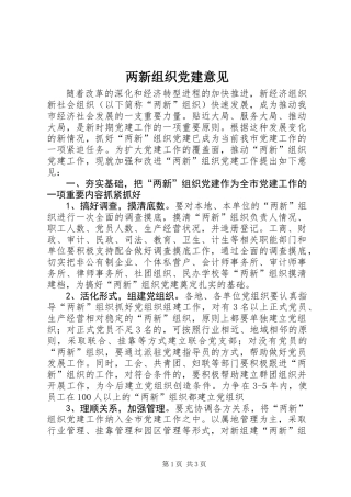 两新组织党建意见
