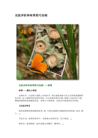 单味草药评析