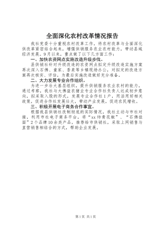 全面深化农村改革情况报告 (2)