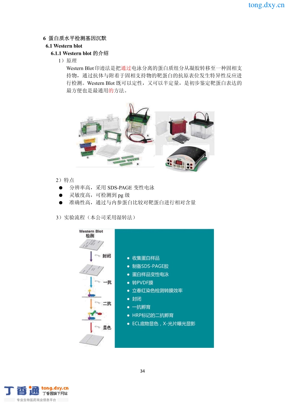 蛋白质水平检测基因沉默_第1页