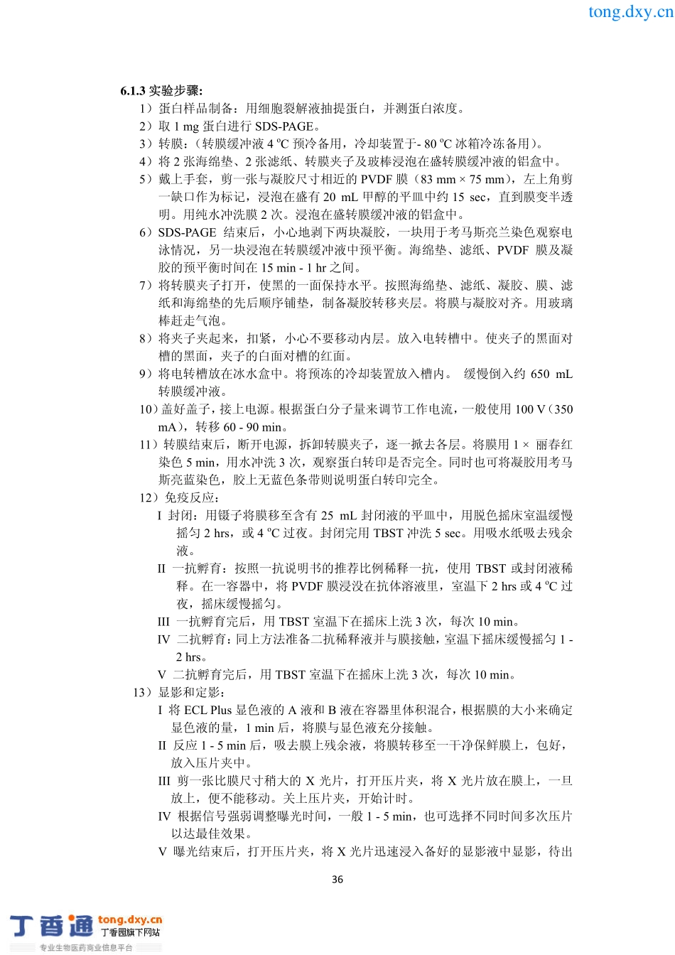 蛋白质水平检测基因沉默_第3页