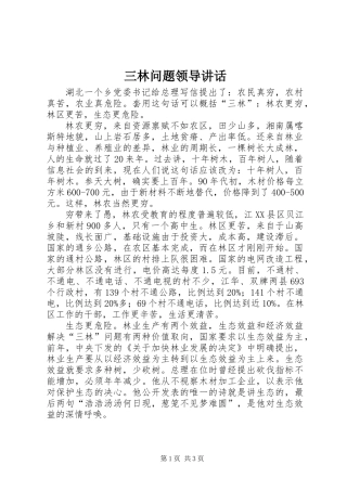 三林问题领导讲话