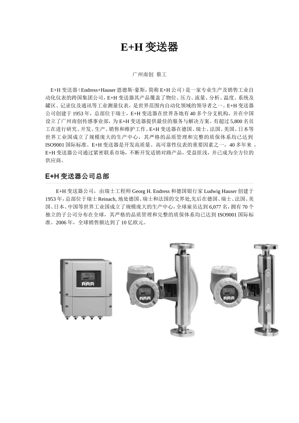 E+H变送器_第1页