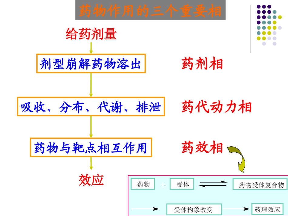 chapter5 生物药剂学在新药发现阶段的实际应用_第3页