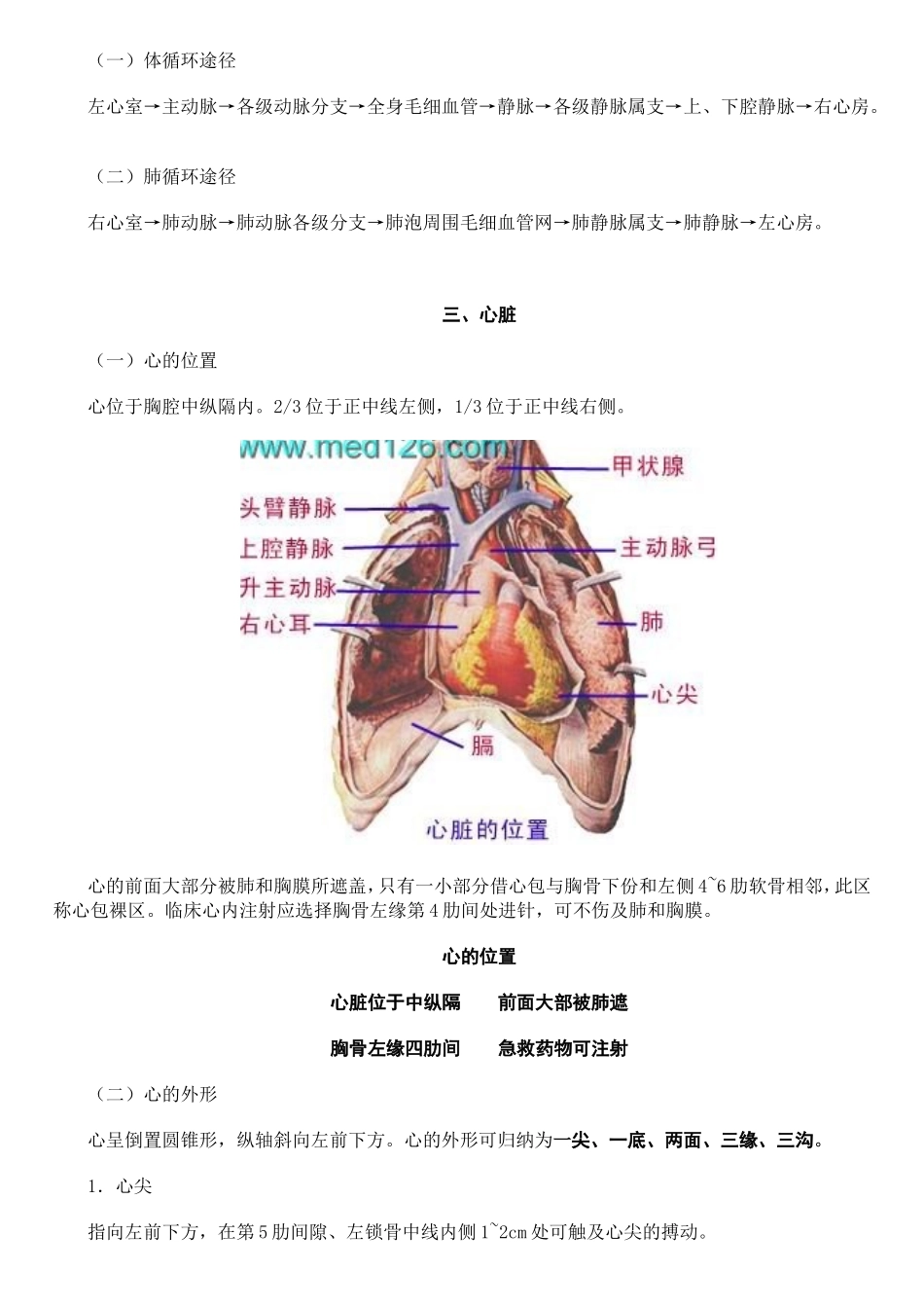 第6章脉管系_第3页