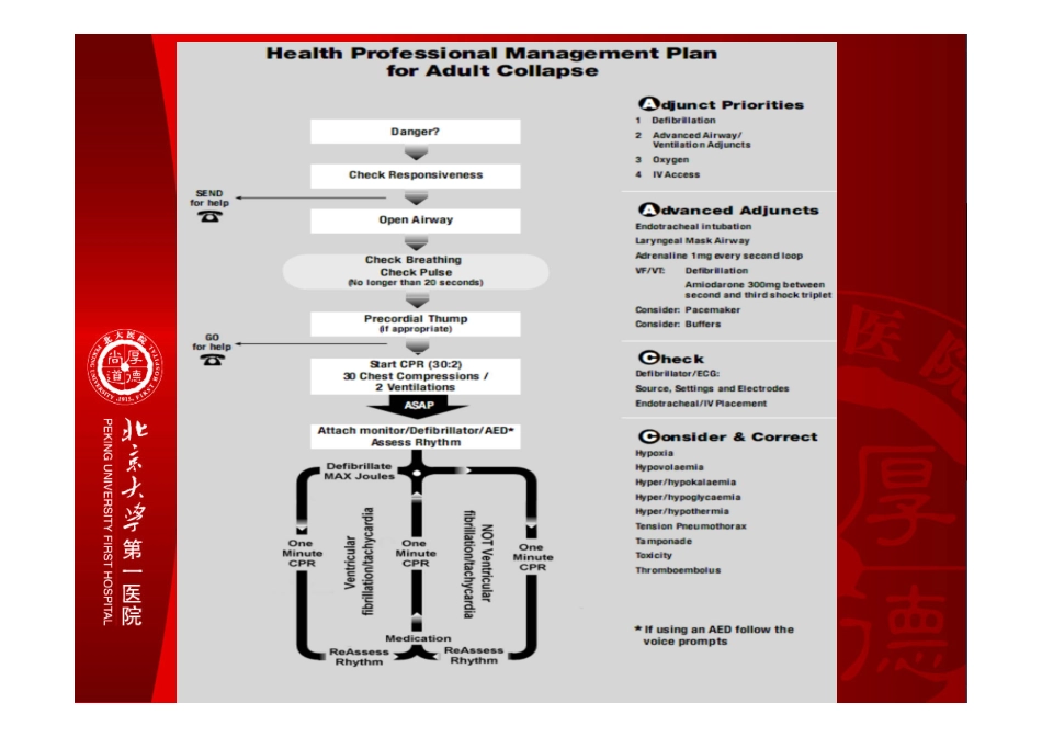 成人CPR最新指南(倪东妹)_第3页
