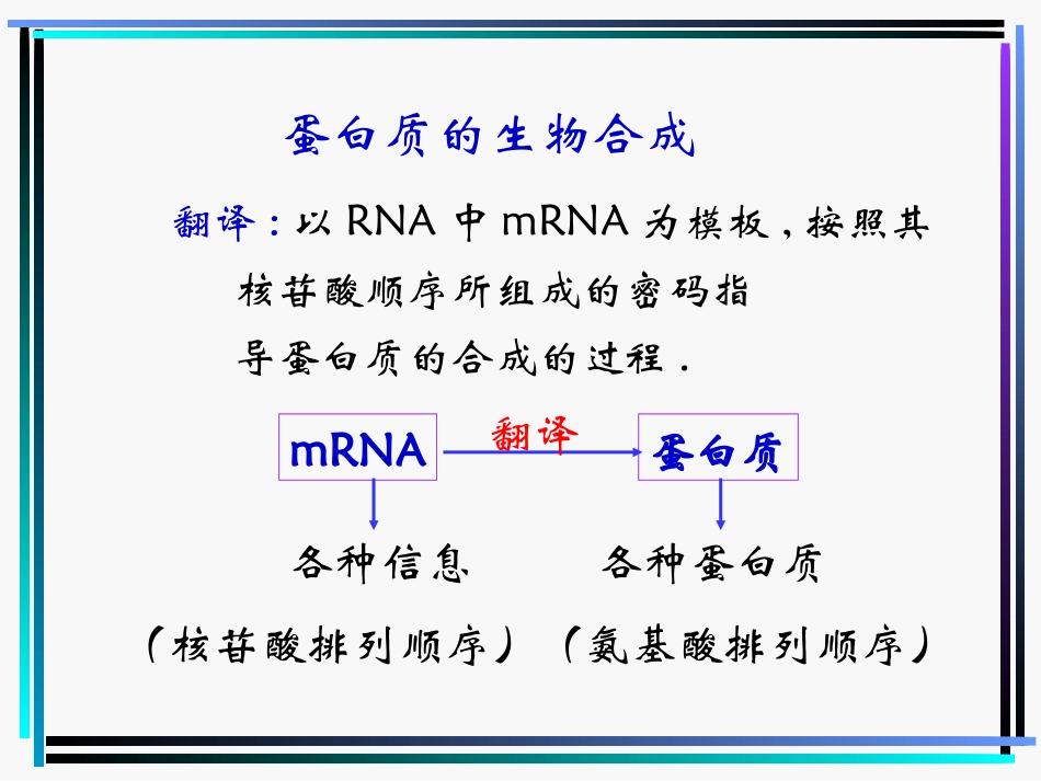 蛋白质的生物合成_第1页