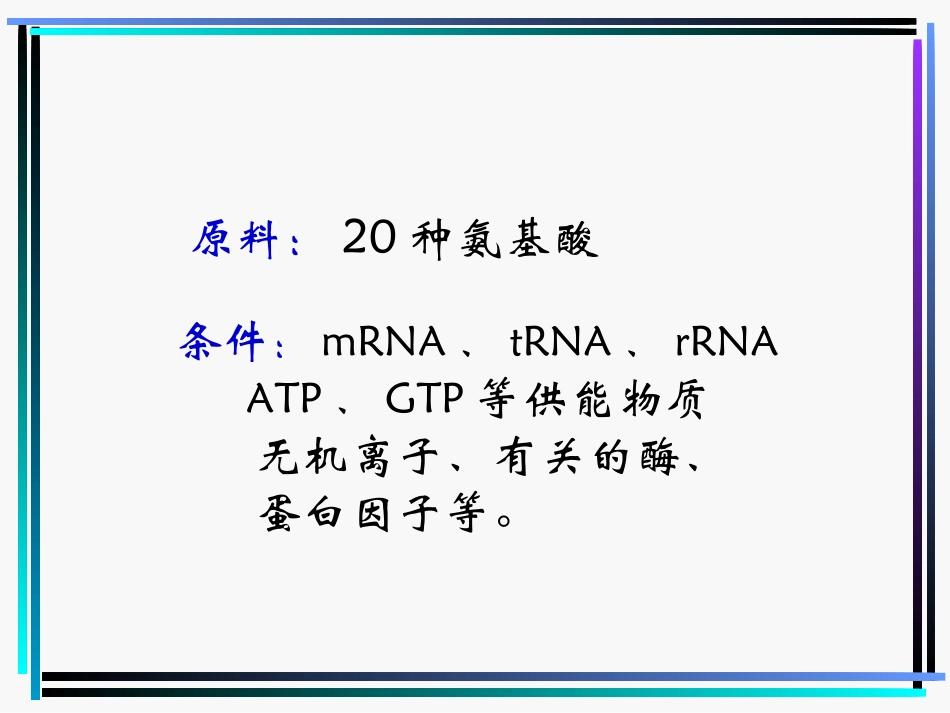蛋白质的生物合成_第2页