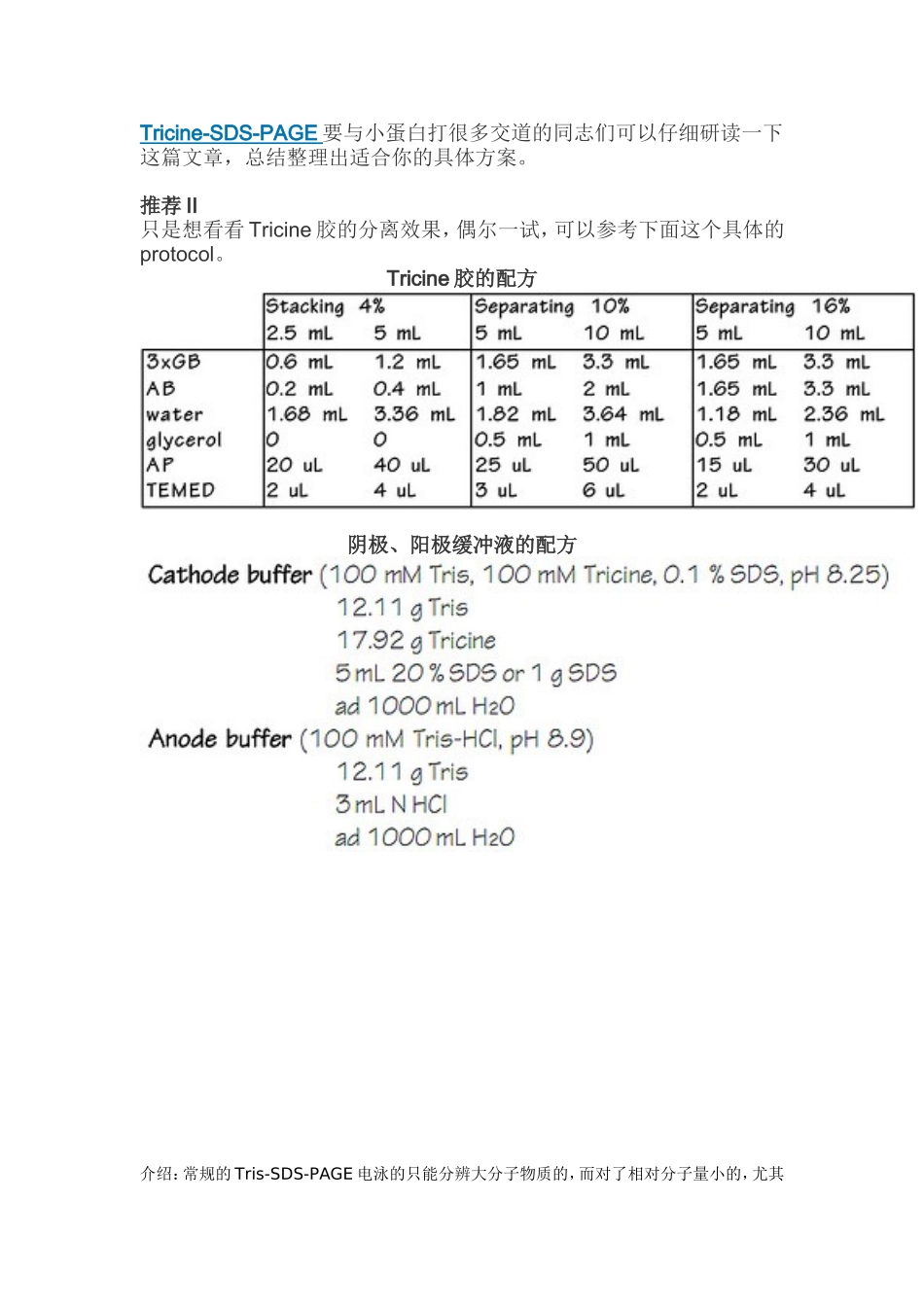 tricine胶注意事项和要点_第2页