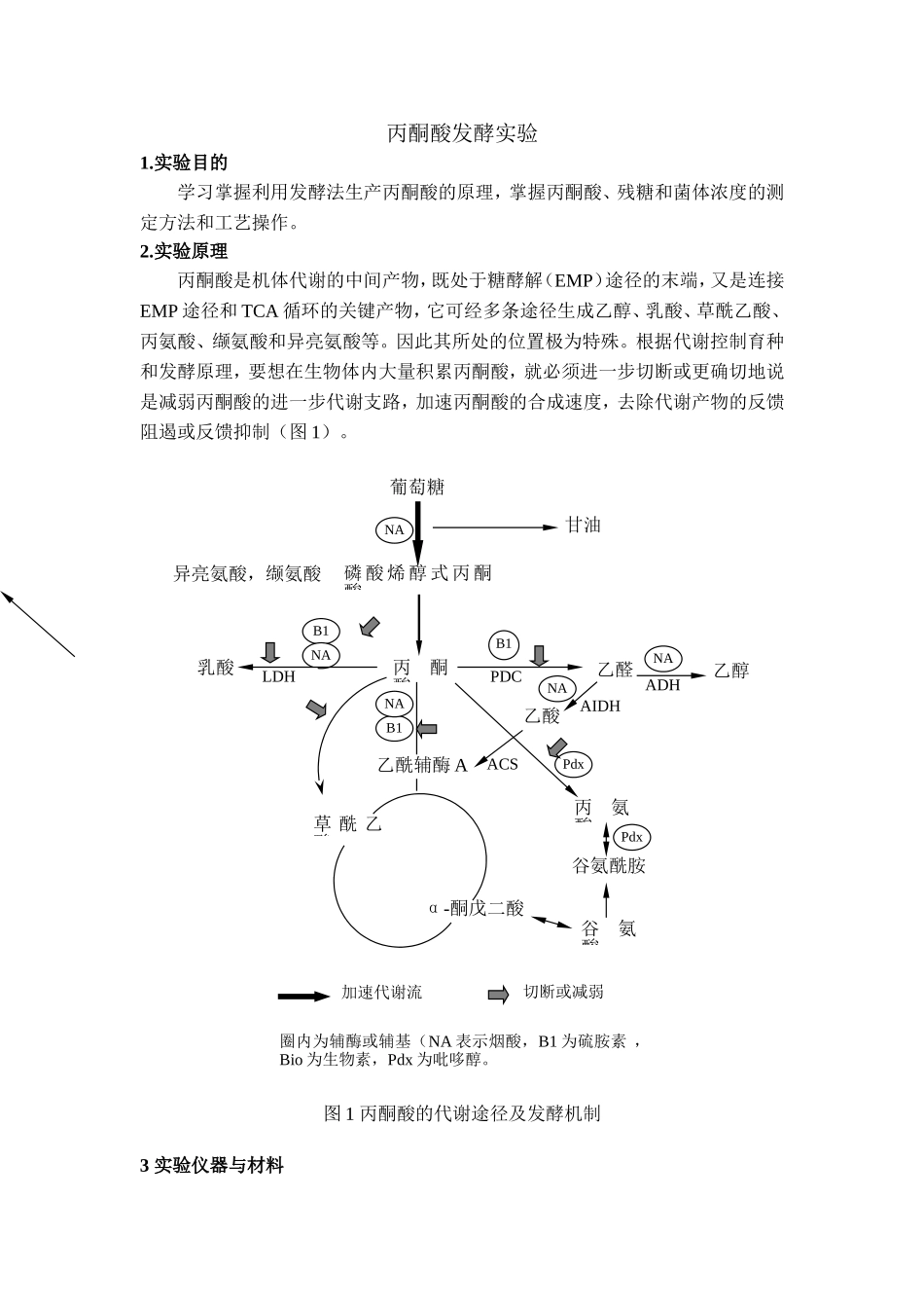 丙酮酸发酵实验_第1页