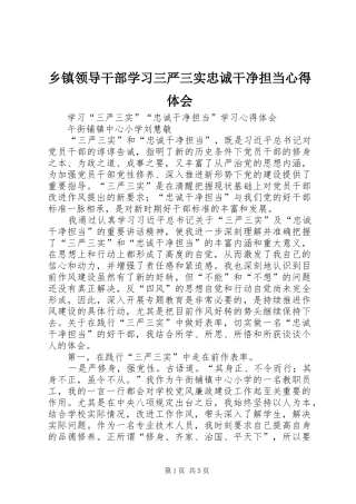 乡镇领导干部学习三严三实忠诚干净担当心得体会