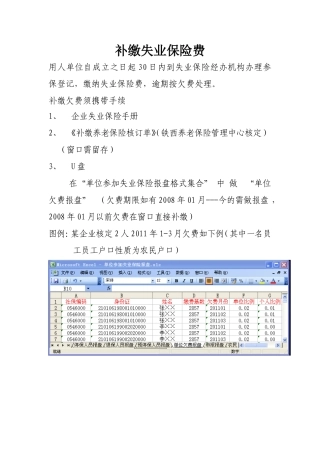 补缴失业保险费