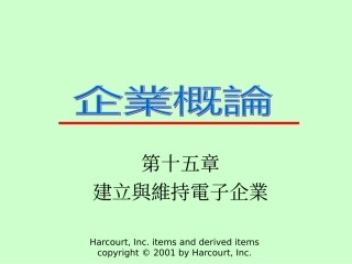 Ch15建立与维持电子企业