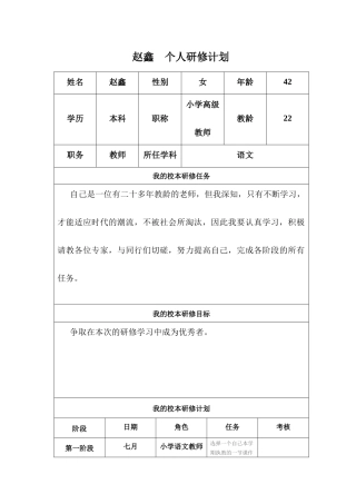 赵鑫个人研修工作计划
