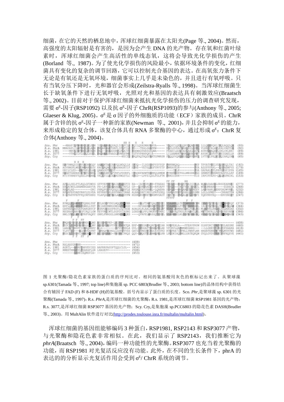 Rhodobacter sphaeroides的phrA基因编码的光聚酶以及单线态氧和过氧化物以σ-依赖的方式对光聚酶的调节作用_第2页