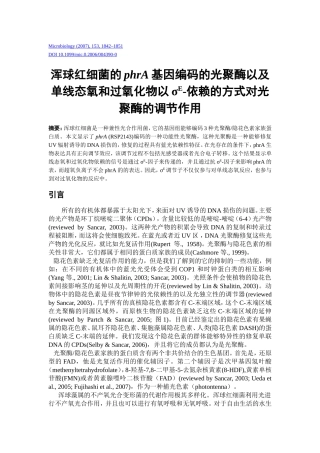 Rhodobacter sphaeroides的phrA基因编码的光聚酶以及单线态氧和过氧化物以σ-依赖的方式对光聚酶的调节作用