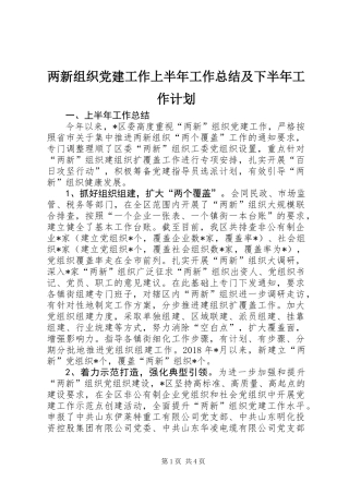 两新组织党建工作上半年工作总结及下半年工作计划