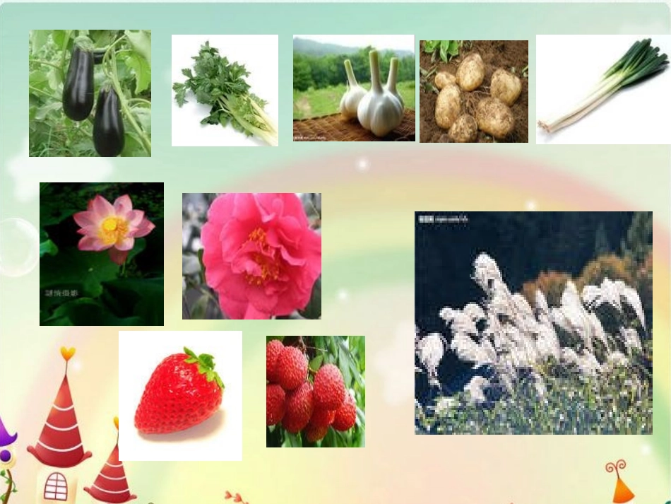 二单元识字一_第2页