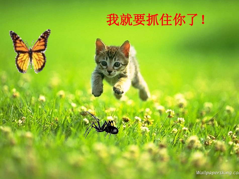 灵芝2ATP的主要来源—细胞呼吸_第3页