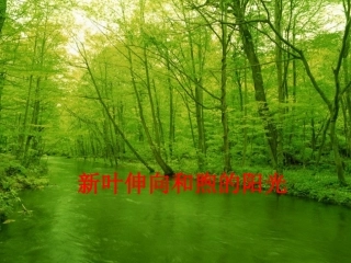 灵芝2ATP的主要来源—细胞呼吸