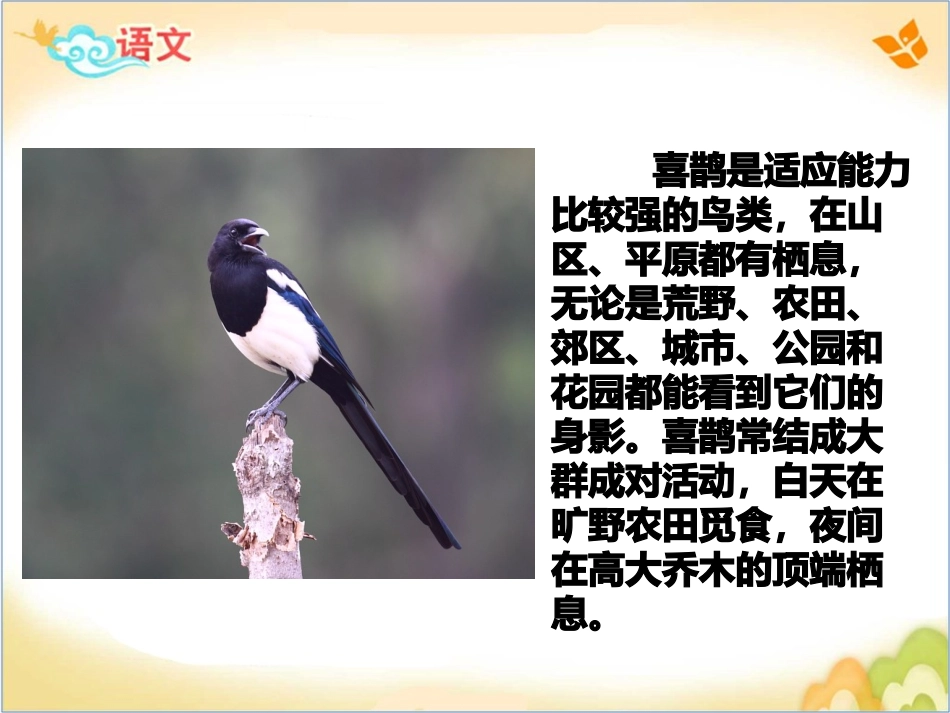 (部编)人教语文2011课标版一年级下册树和喜鹊-(25)_第2页