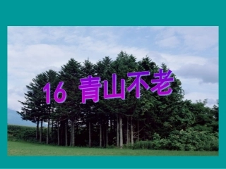 青山不老课件2