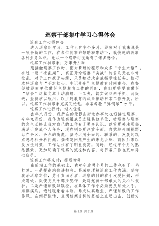 巡察干部集中学习心得体会