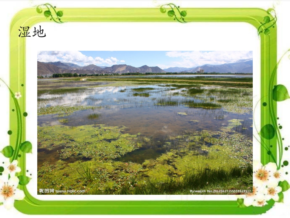 人教2011版小学数学三年级三位数的加法-(4)_第3页