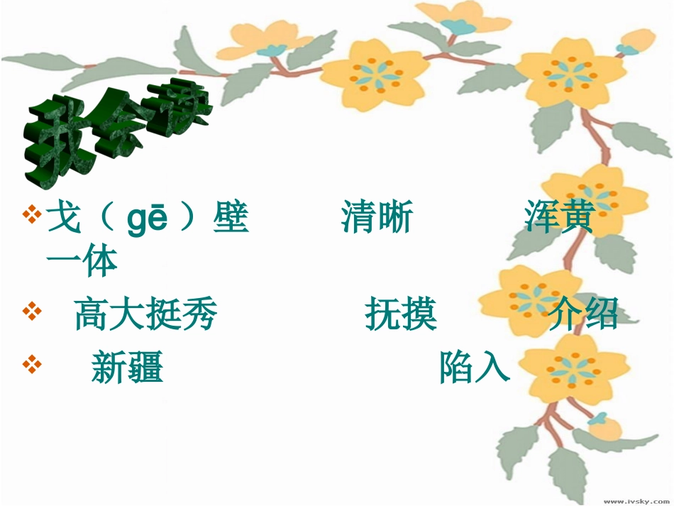 3《-白杨》PPT课件4_第2页