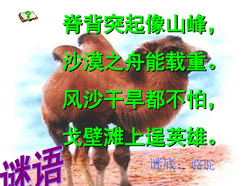 OK三上《找骆驼》_第2页