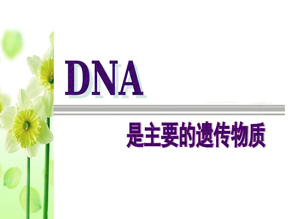 第1节DNA是主要的遗传物质_第1页