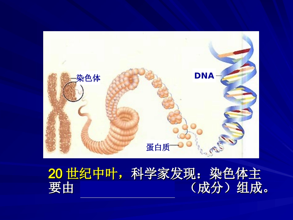 第1节DNA是主要的遗传物质_第2页
