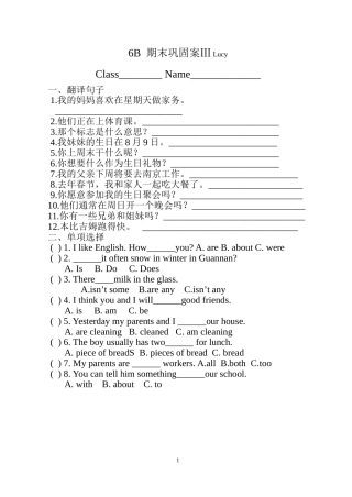 6B期末巩固案Ⅲ
