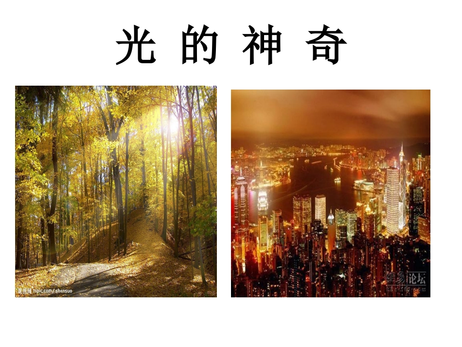 4.1光的反射(第一课时光的传播)_第2页