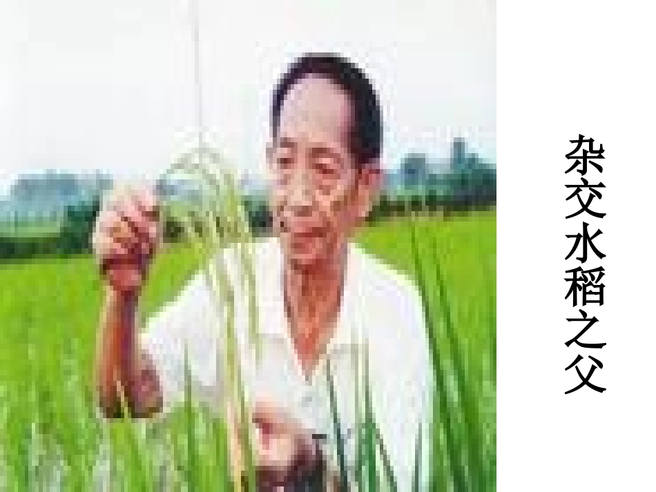 始终眷恋着祖国_第3页