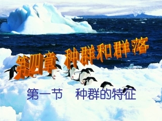 高中生物人教版必修三4.1《种群的特征》课件-(共24张PPT)