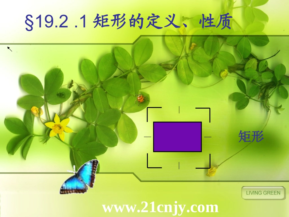 矩形的定义和性质_第1页